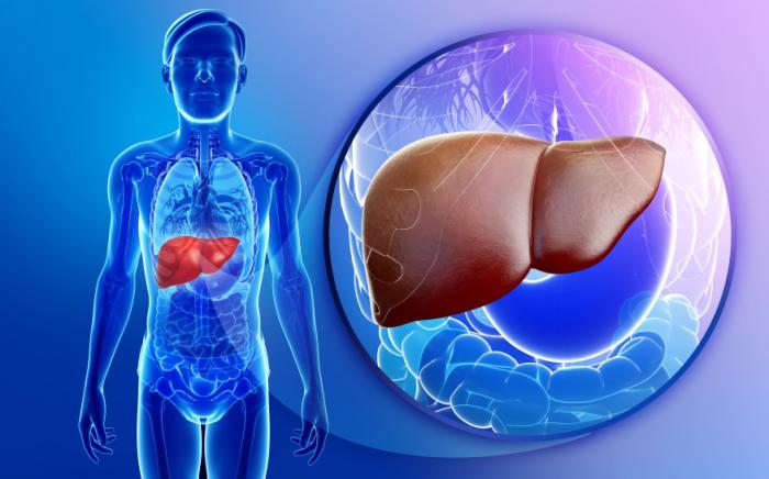 Researchers Predict Widespread Fatty Liver Disease