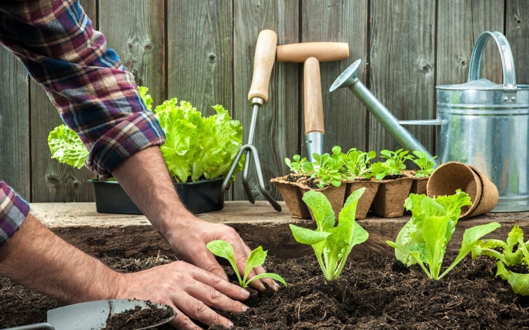 Avoiding Aches & Pains from Spring Gardening