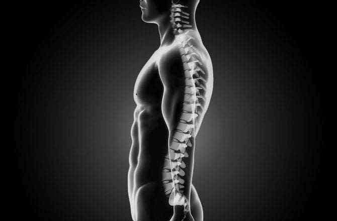 How Chiropractic Treatment Helps Posture