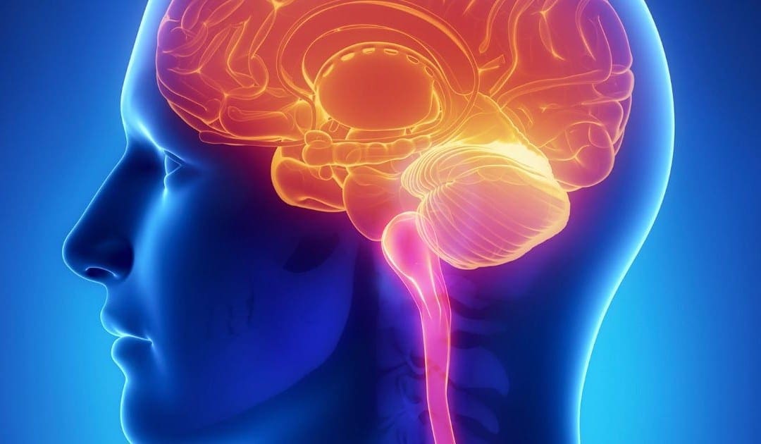 Causes and Diagnosis of Fibromyalgia | Southwest Chiropractor