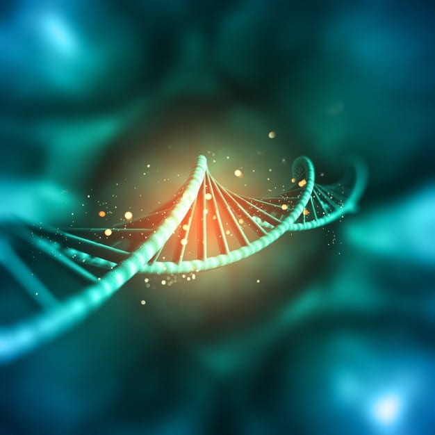 The Role Of Epigenetics In Obesity And Metabolic Disease