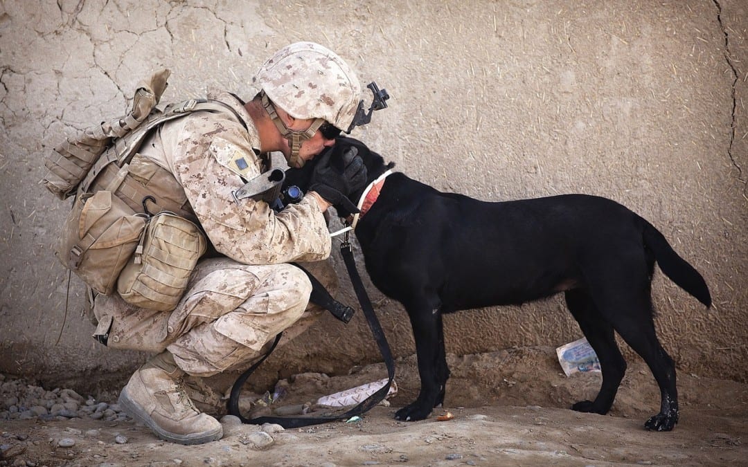 Holistic Treatment Available for Veterans