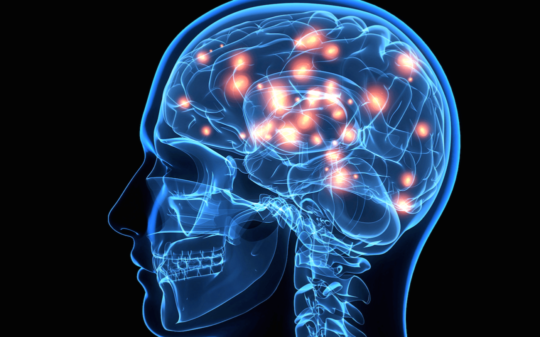 Structure and Function of the Cranial Nerves in El Paso, TX