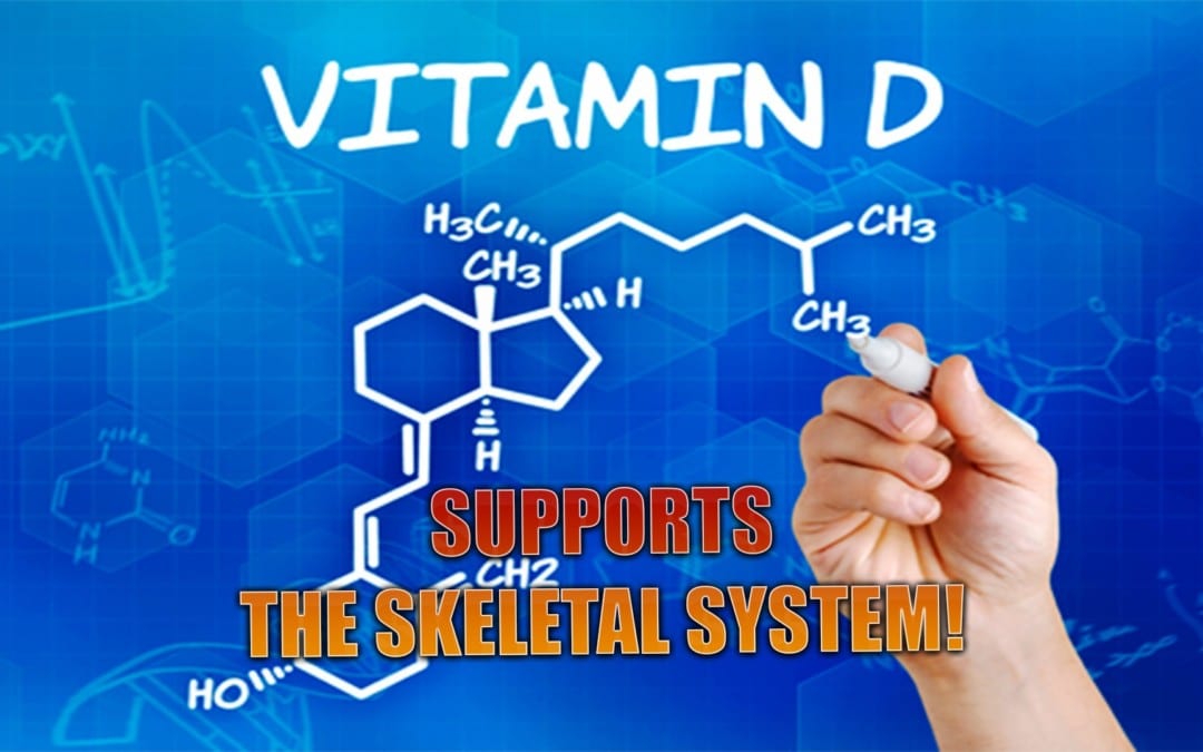 Vitamin D Supports The Skeletal System | El Paso, TX.