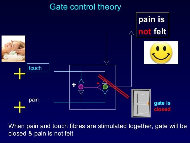 example of gate control theory