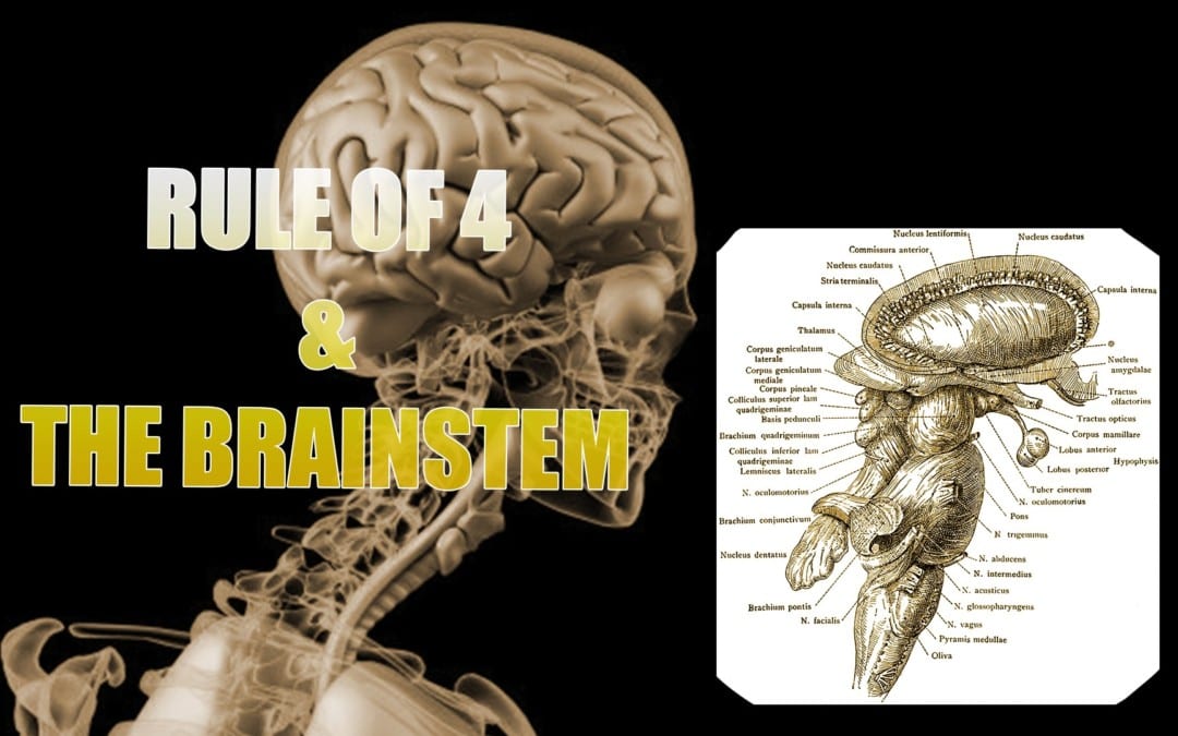 Brainstem And The Rule Of 4 | El Paso, TX.