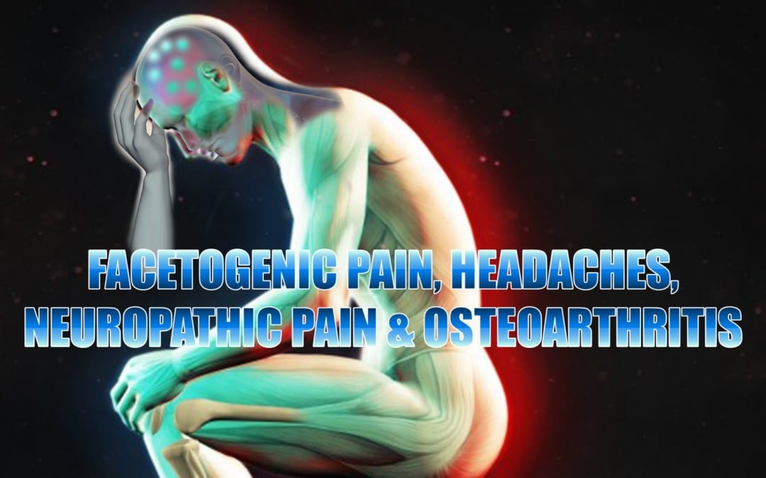 Dolor facetogénico, dolores de cabeza, dolor neuropático y osteoartritis