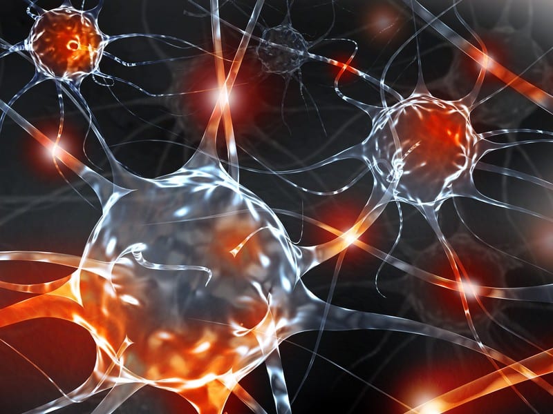 El papel de la inflamación neurogénica