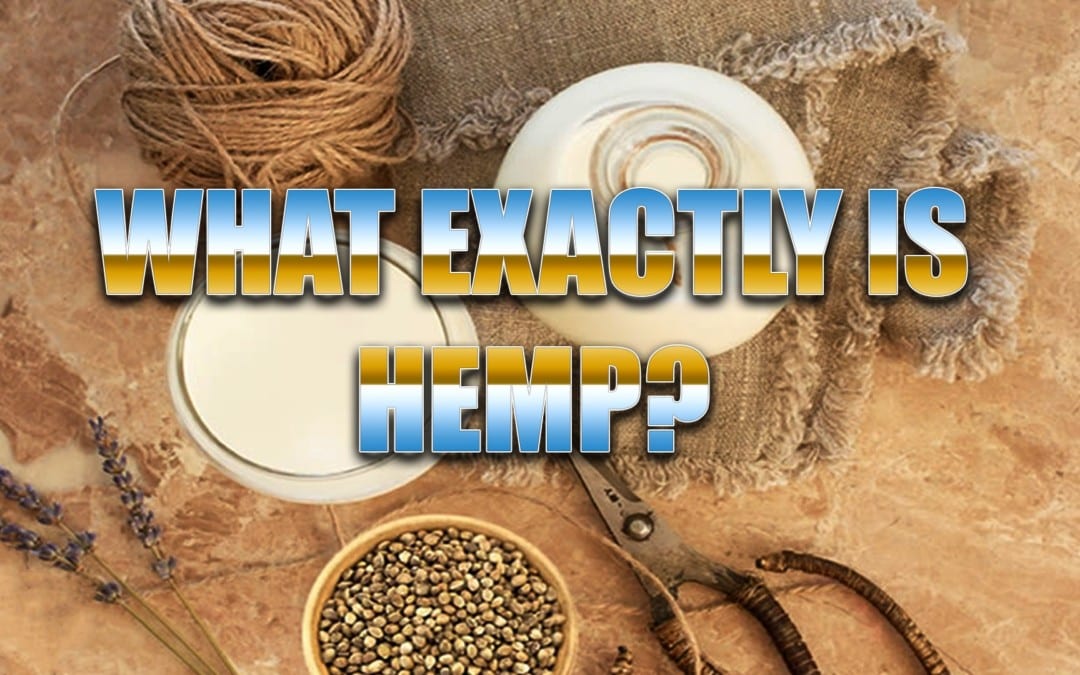 Hemp, What Is It Exactly?