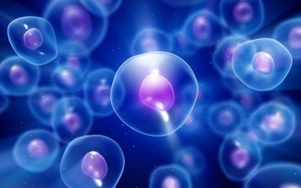 Nrf2 Explained: The Keap1-Nrf2 Pathway