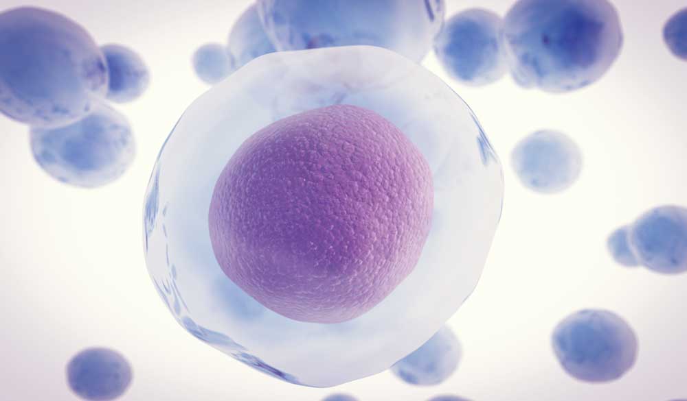 What Are The Benefits Of Nrf2?