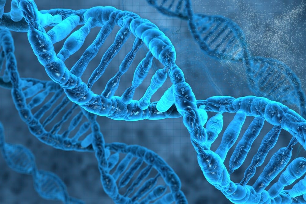 What is Nrf2 Activation?