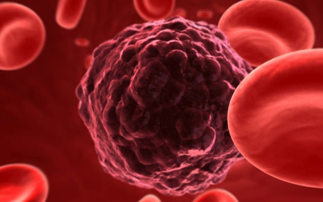 What Are The Risks Of Nrf2 Overexpression?