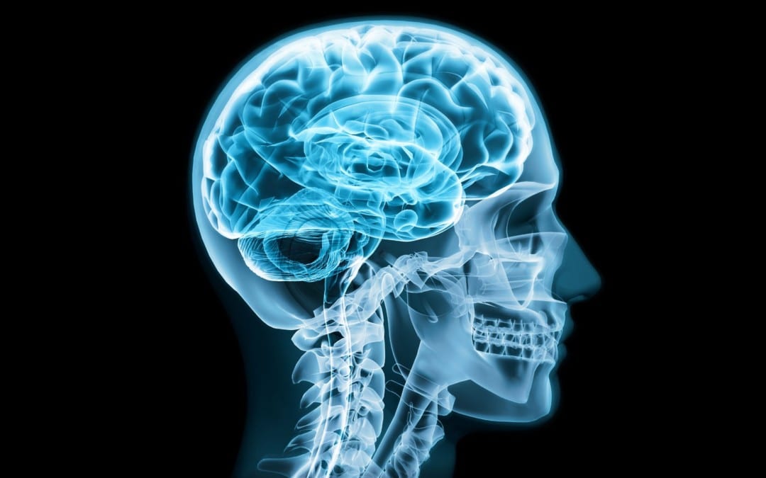 Traumatismo craneal y otros abordajes de imagen de patología intracraneal
