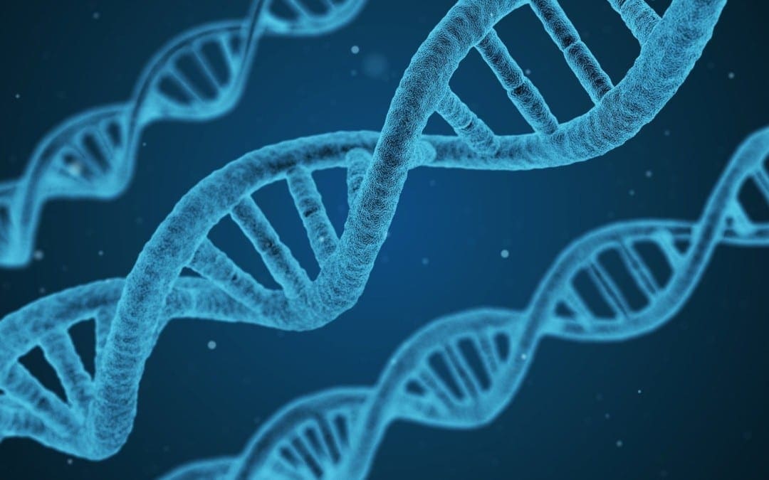 Biochemistry of DNA Methylation