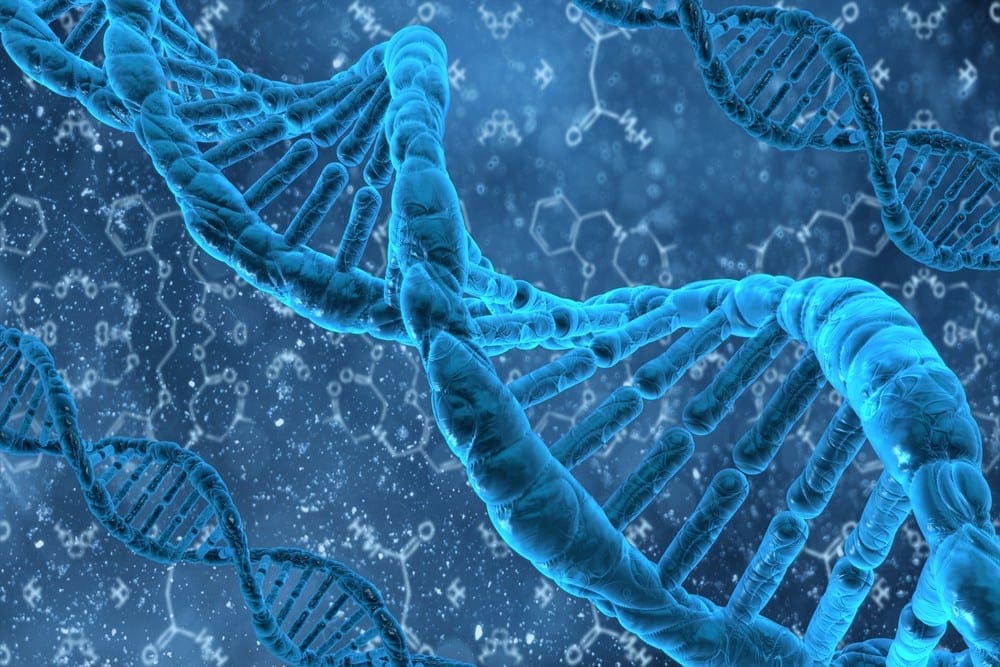 DNA Methylation Plasticity