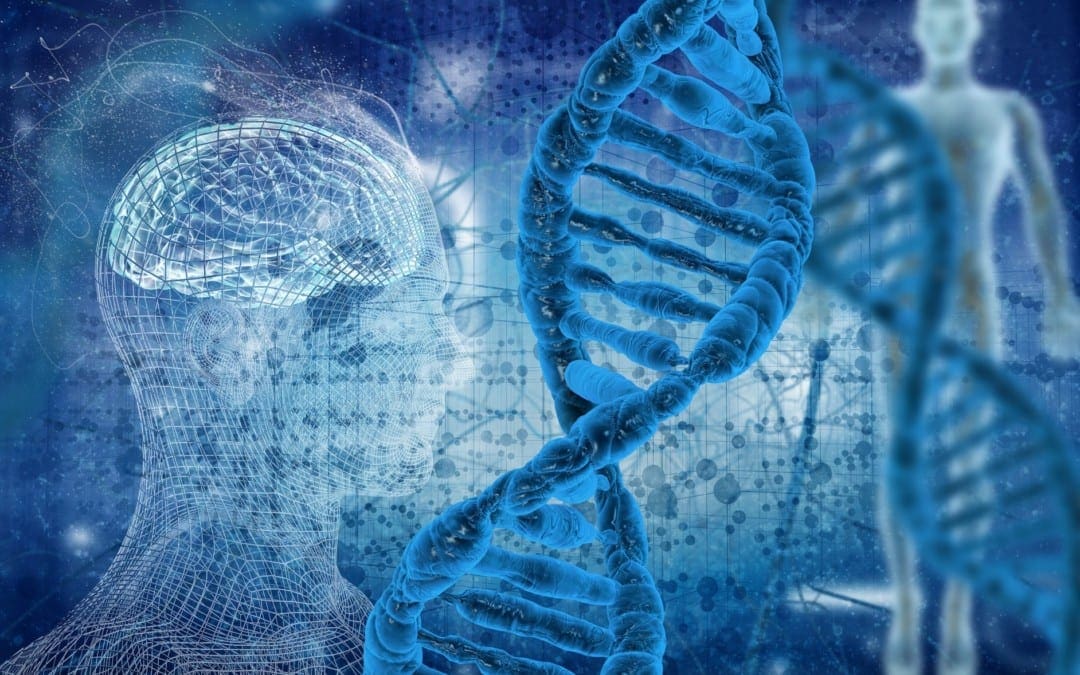 Methylation Donors for Methylation Support