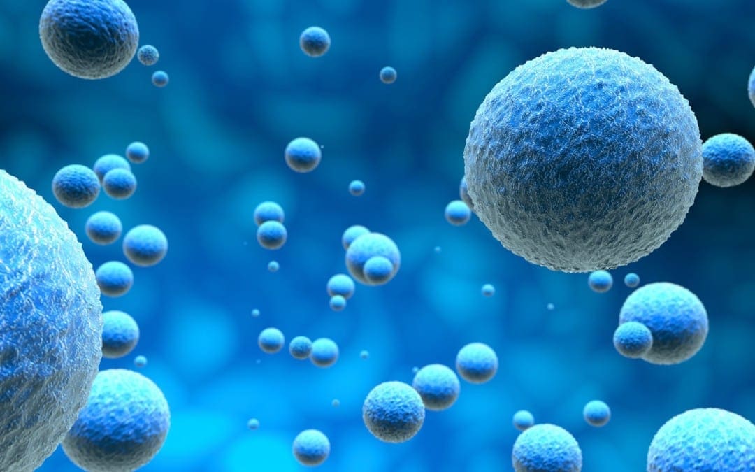 Fasting And Cancer: Molecular Mechanisms And Clinical Application