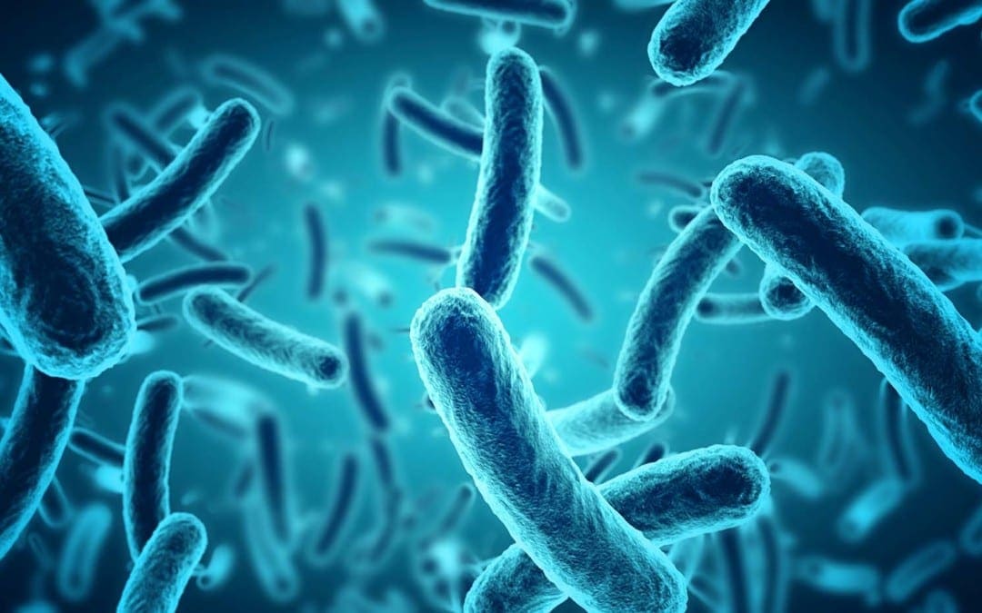 The Role Of The Microbiome In DNA Methylation