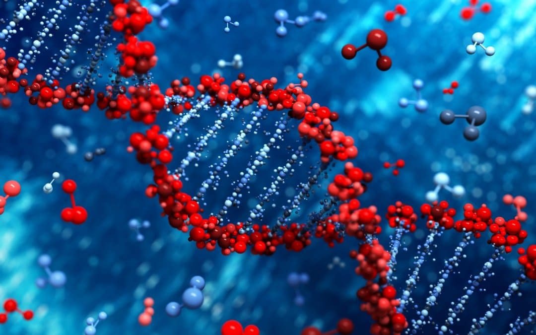 The Role of Methylation Adaptogens