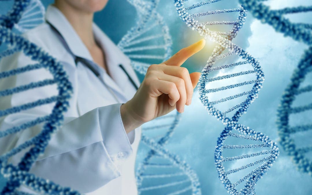 Introduction to DNA Methylation Status & Activity
