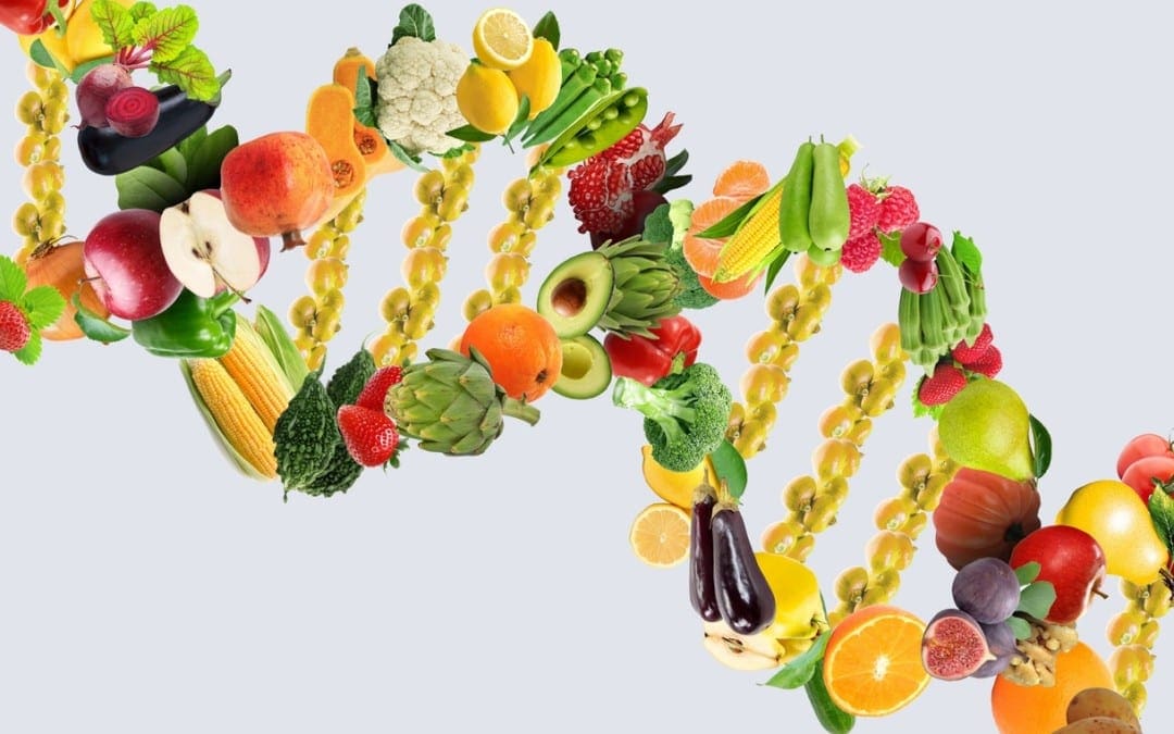 Understanding DNA Methylation Deficits