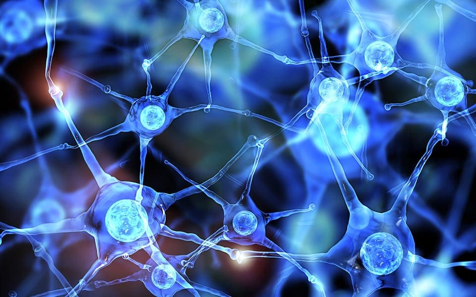 Functional Neurology: Differences Between Dopamine and Serotonin