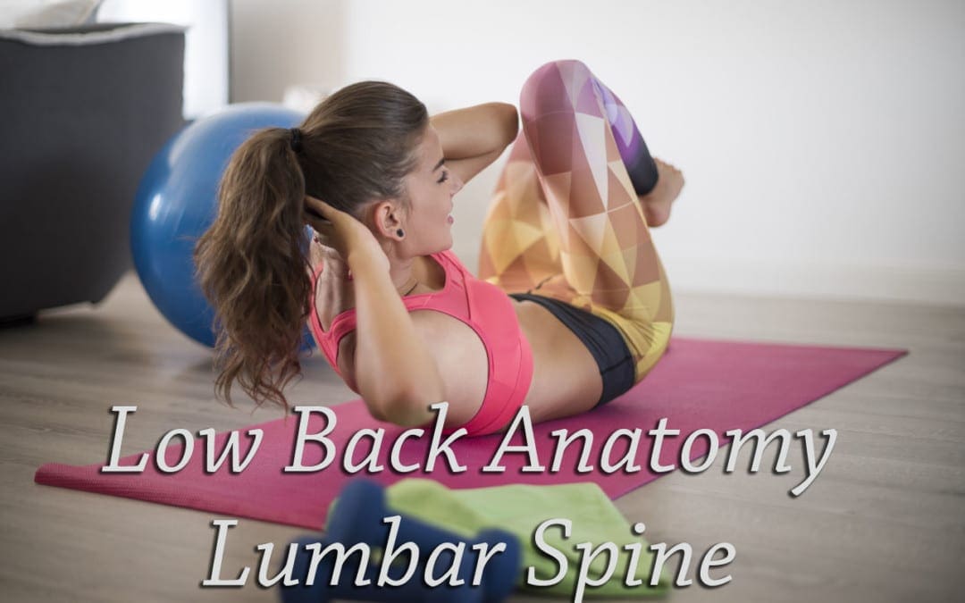 Anatomy of the Lumbar Spine
